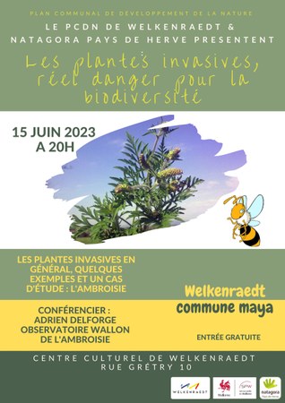 Les plantes invasives, réel danger pour la biodiversité Illustration de l'actualité - cliquer pour agrandir