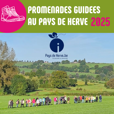 Promenade guidée "La forêt d'à côté !" Illustration de l'actualité - cliquer pour agrandir
